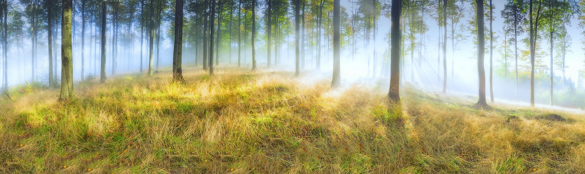 Řezivo a služby dle vašich přání